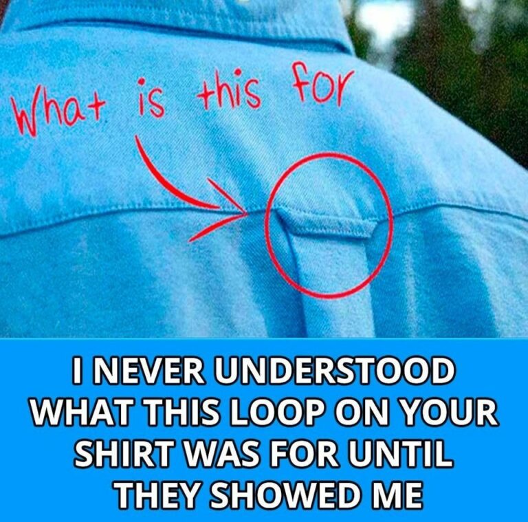 Looker Loop Why Do Button-Down Shirts Have Loops on the Back? The Surprising ...